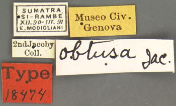 Media type: image;   Entomology 18474 Aspect: labels